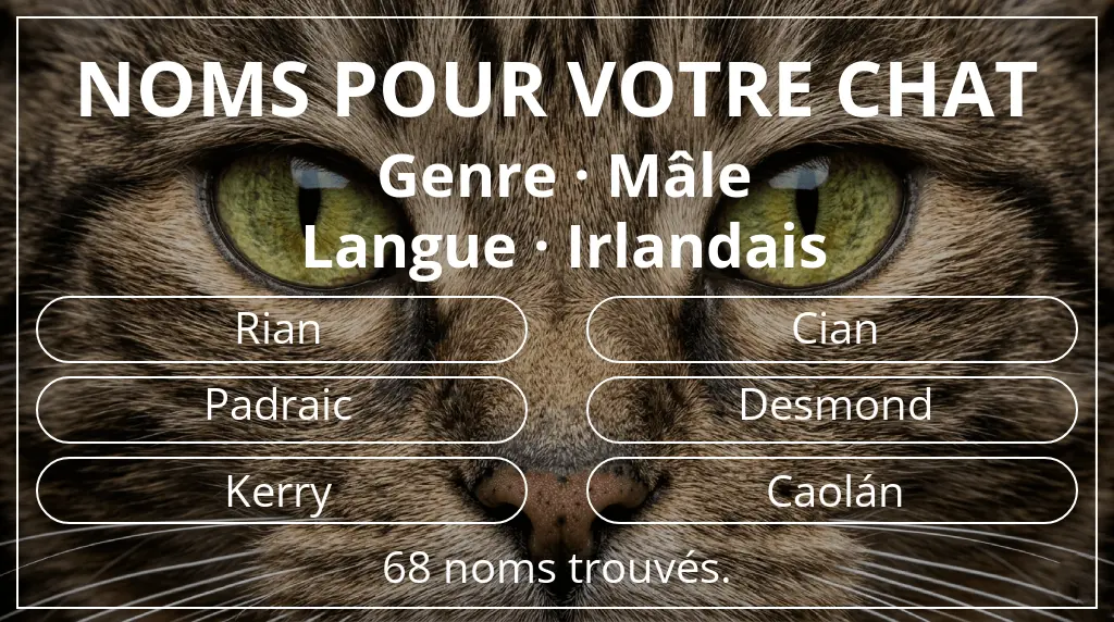 Noms pour chats basés sur genre mâle et langue irlandais