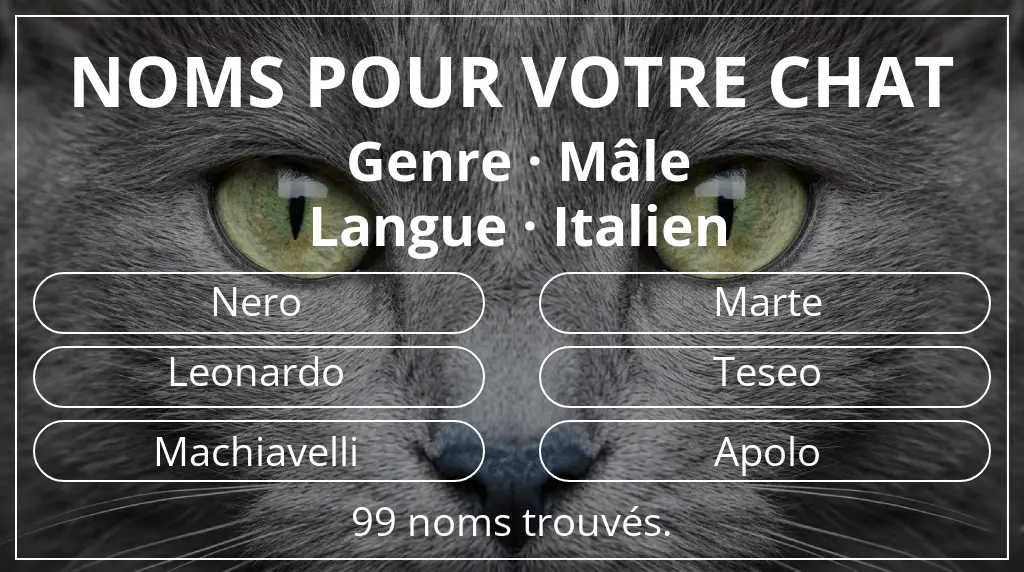 Noms pour chats en lien avec genre mâle et langue italien
