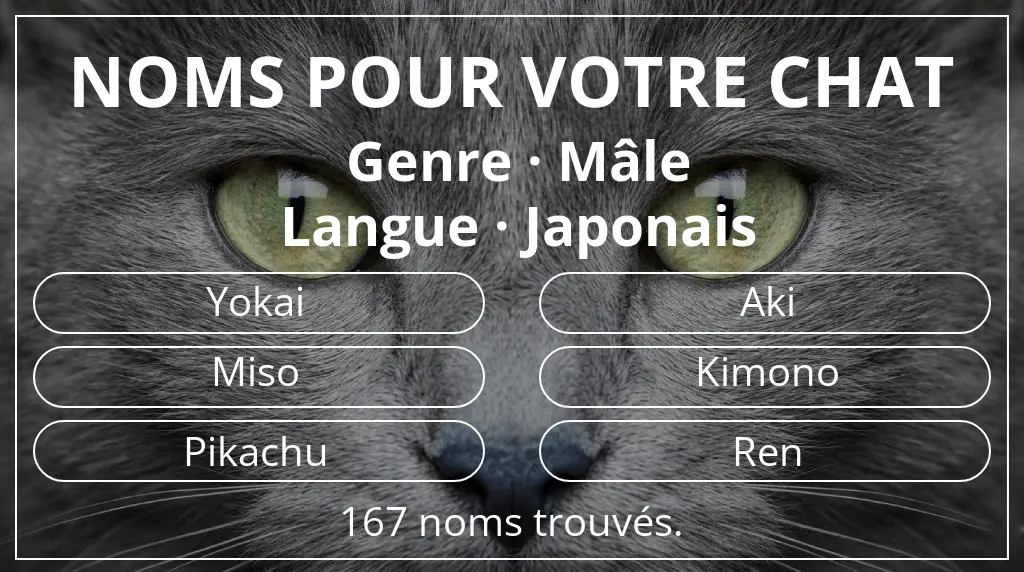 Noms de chats basés sur genre mâle et langue japonais