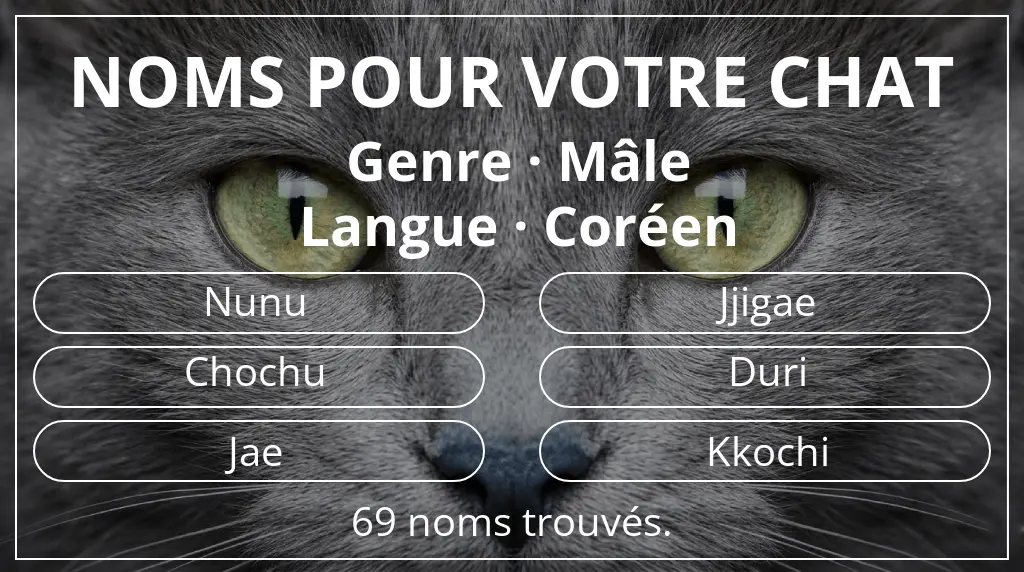 Noms de chats inspirés de genre mâle et langue coréen