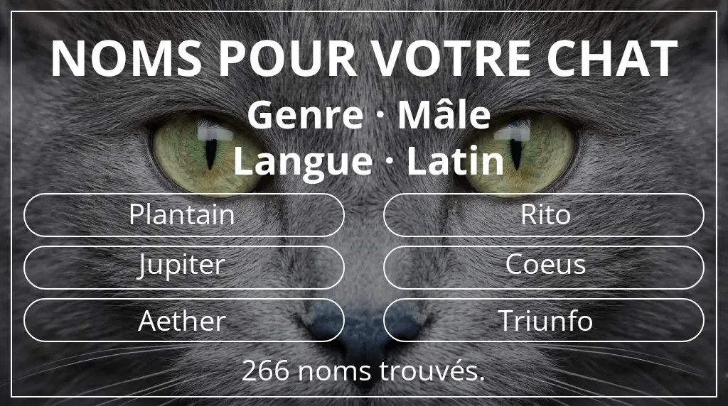 Noms pour chats en lien avec genre mâle et langue latin