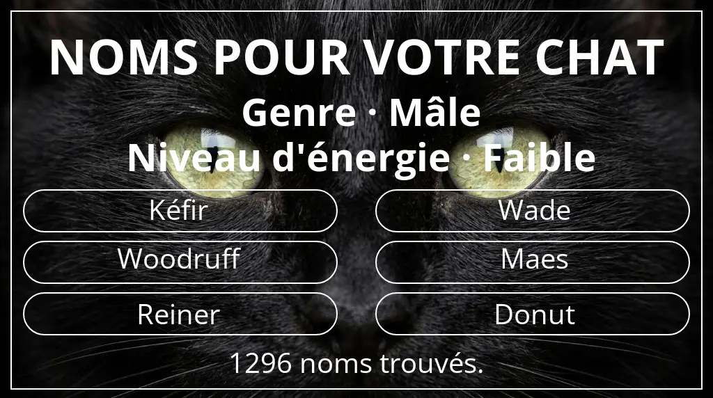 Noms de chats basés sur genre mâle et niveau d'énergie faible