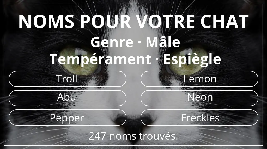 Noms de chats en lien avec genre mâle et tempérament espiègle