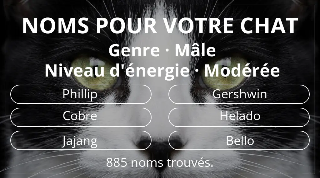 Noms de chats basés sur genre mâle et niveau d'énergie modérée