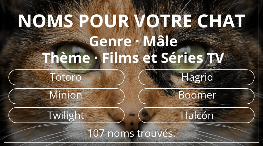 Noms de chats en lien avec genre mâle et thème films et séries tv