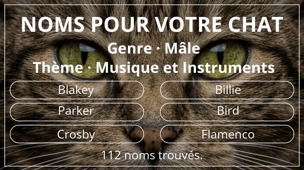 Noms pour chats basés sur genre mâle et thème musique et instruments