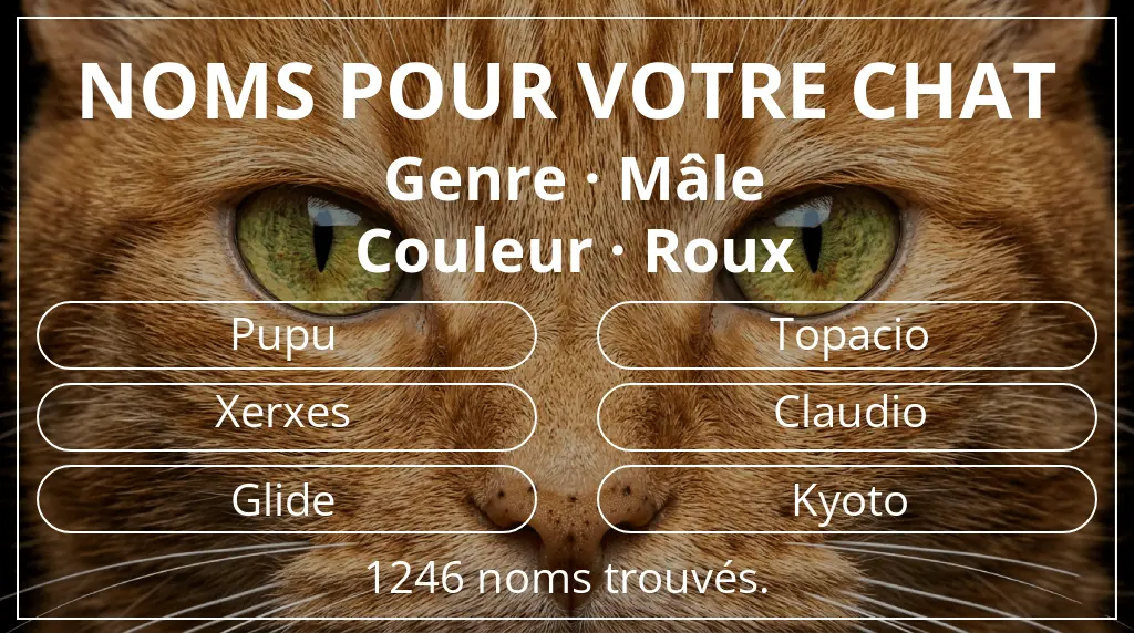 Noms pour chats basés sur genre mâle et couleur roux