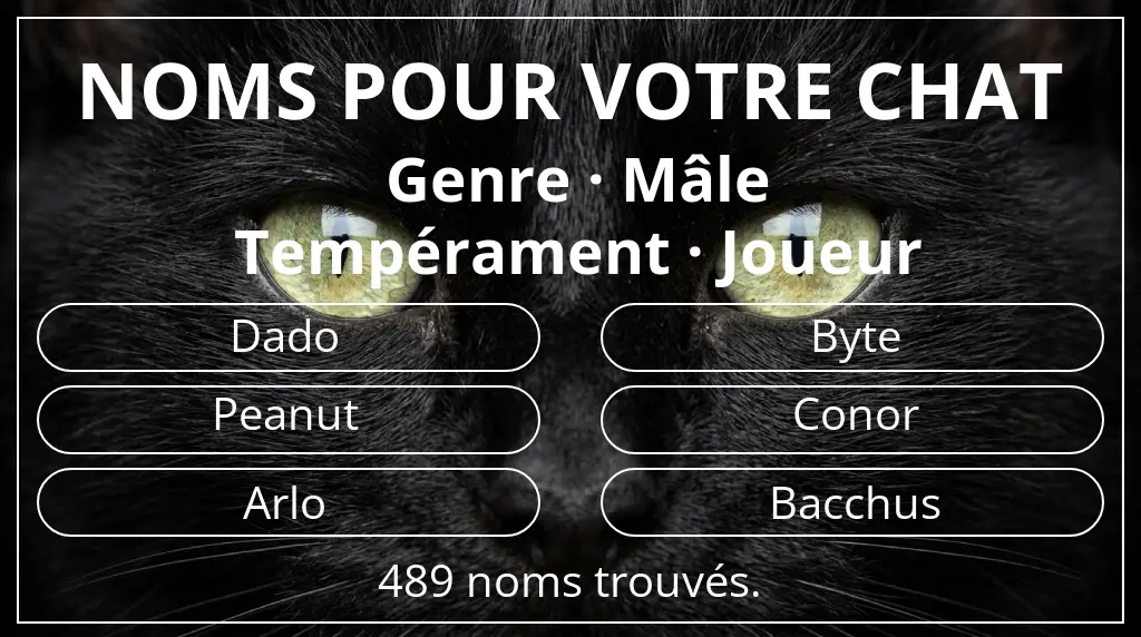 Noms félins inspirés de genre mâle et tempérament joueur