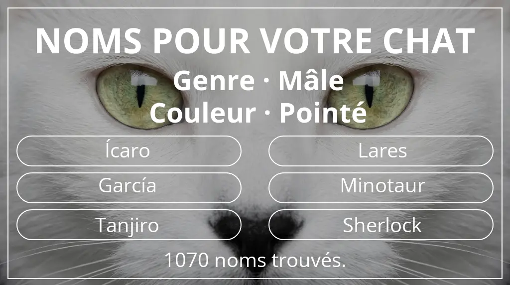 Noms félins basés sur genre mâle et couleur pointé