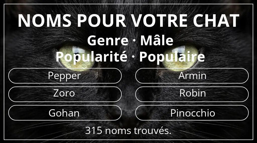 Noms félins en lien avec genre mâle et popularité populaire