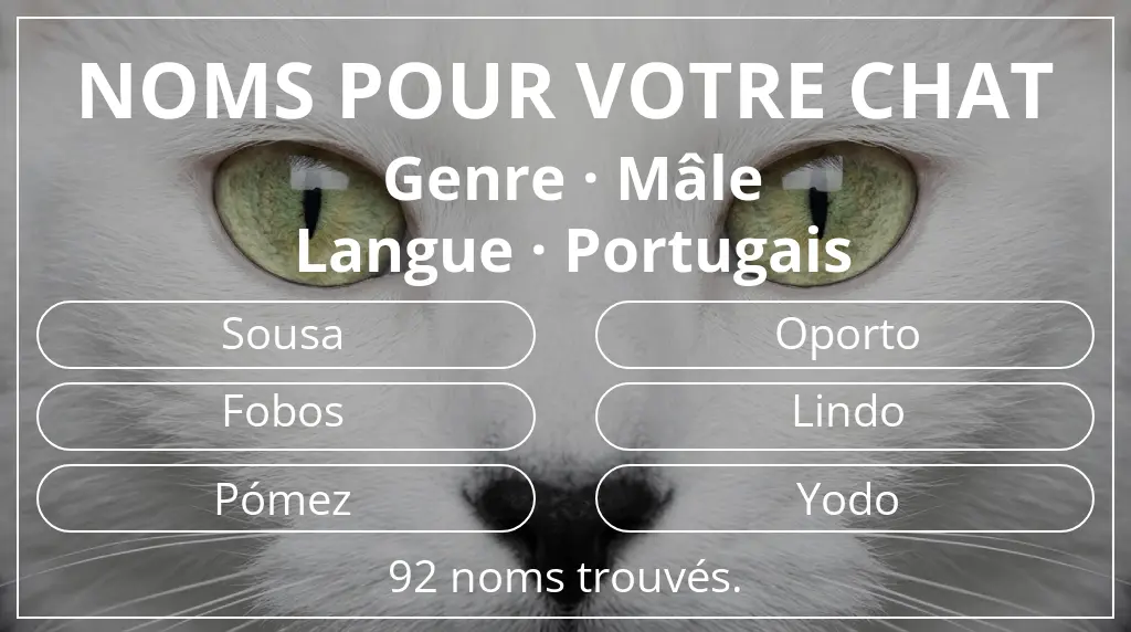 Noms de chats inspirés de genre mâle et langue portugais
