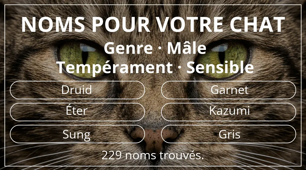 Noms de chats basés sur genre mâle et tempérament sensible