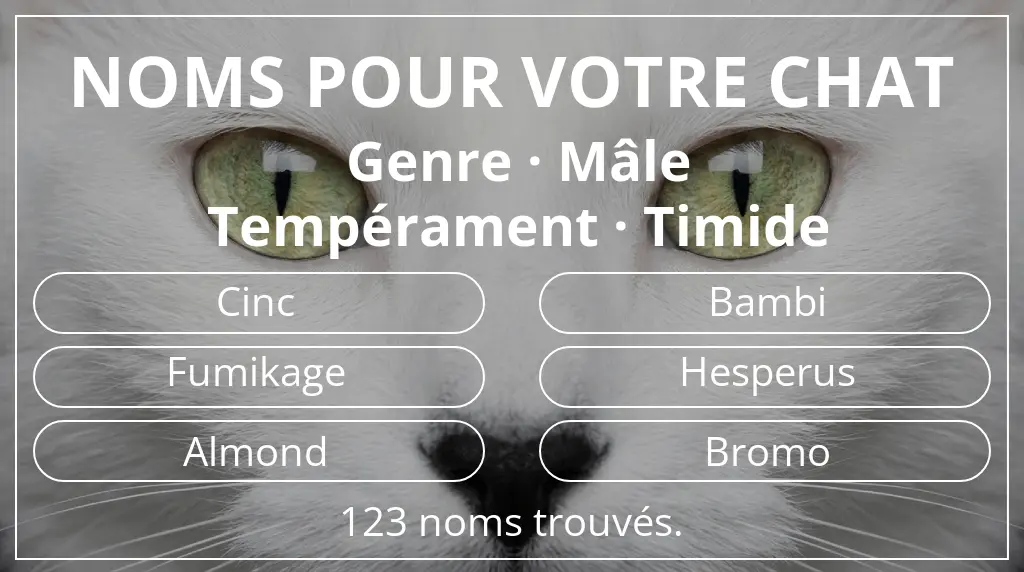 Noms de chats inspirés de genre mâle et tempérament timide