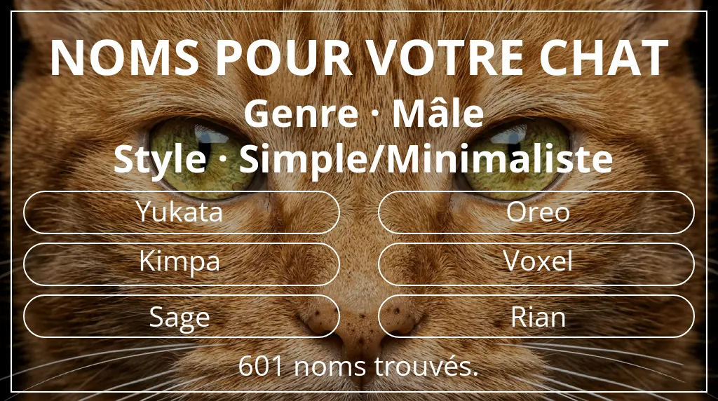 Noms pour chats en lien avec genre mâle et style simple/minimaliste