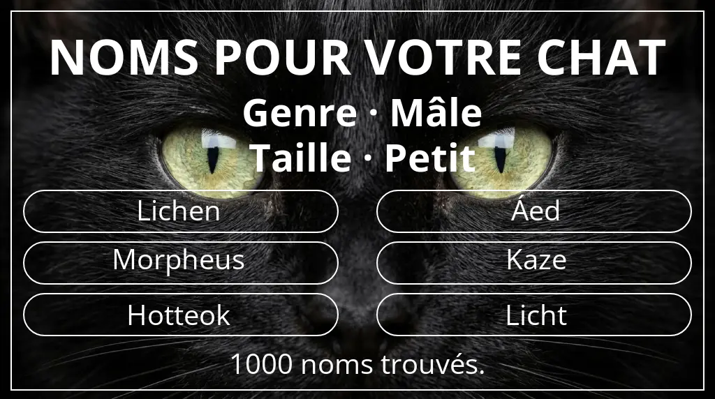 Noms félins basés sur genre mâle et taille petit
