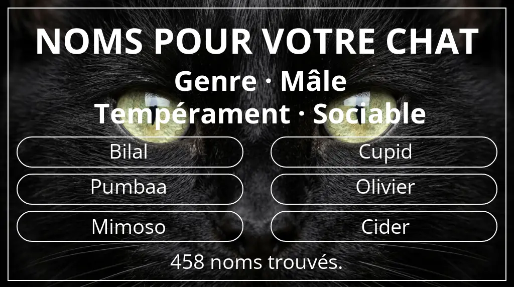 Noms félins basés sur genre mâle et tempérament sociable