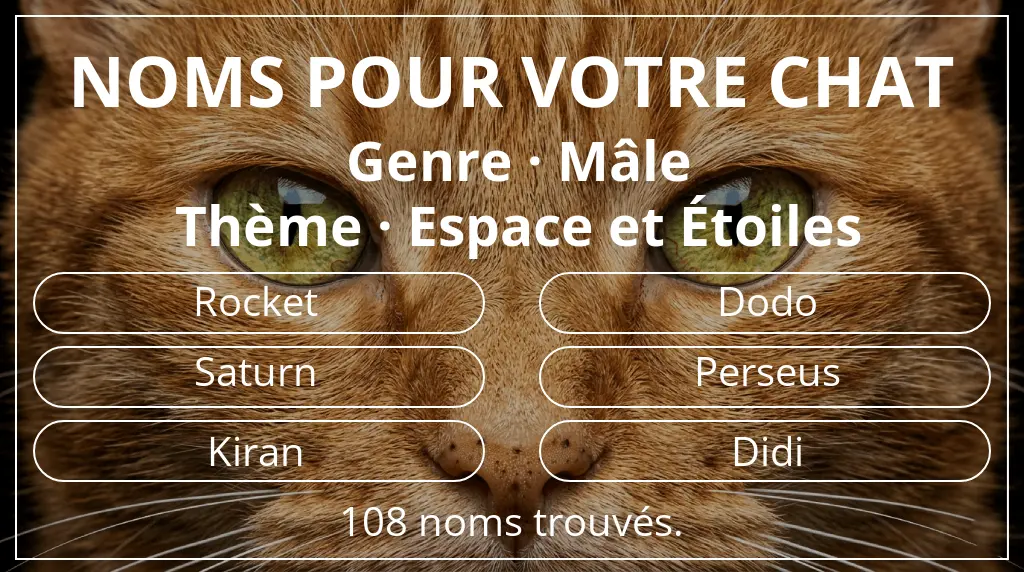 Noms de chats en lien avec genre mâle et thème espace et étoiles