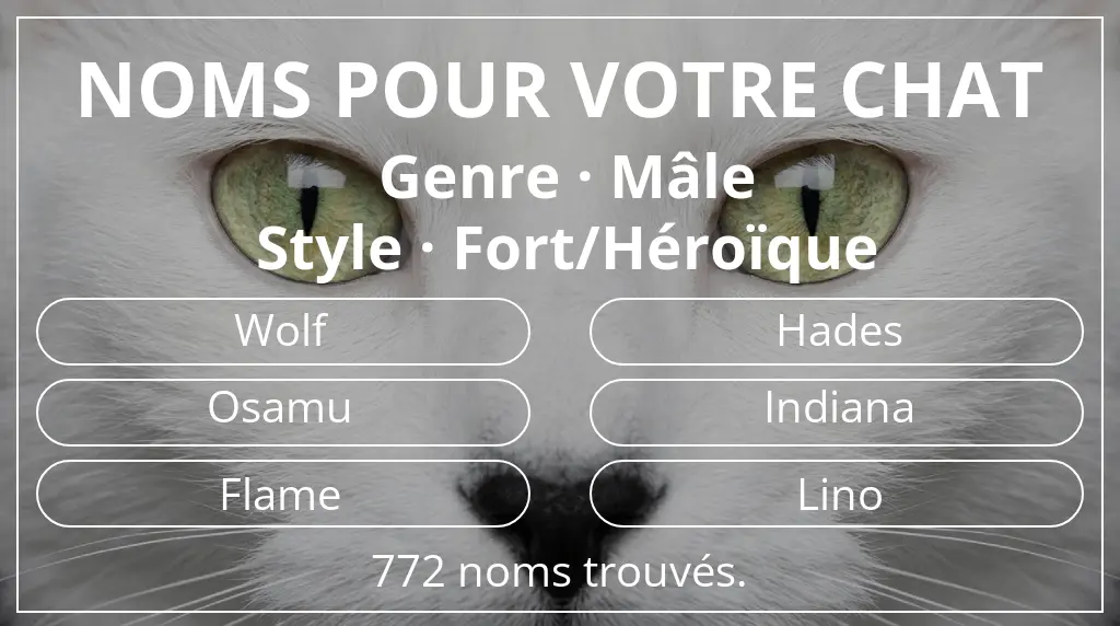 Noms pour chats inspirés de genre mâle et style fort/héroïque