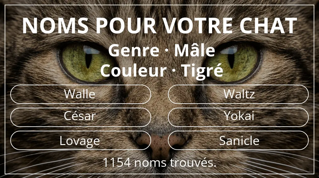 Noms félins inspirés de genre mâle et couleur tigré
