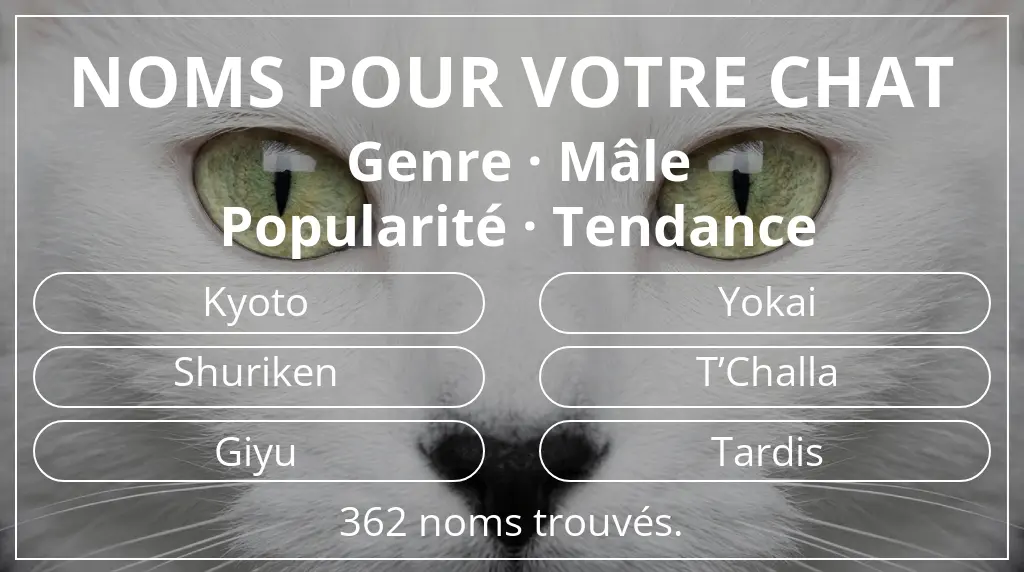 Noms félins en lien avec genre mâle et popularité tendance