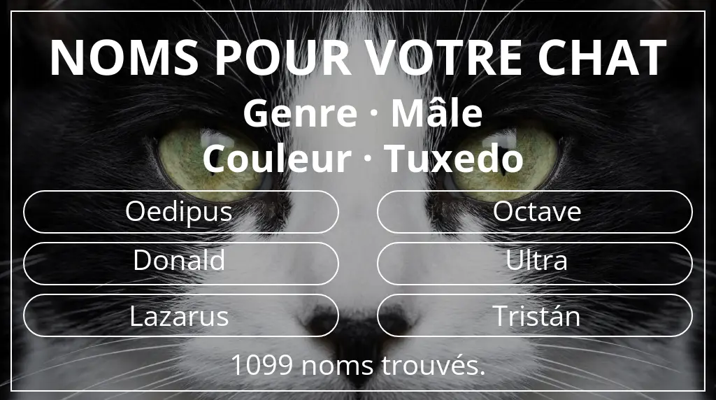 Noms félins basés sur genre mâle et couleur tuxedo