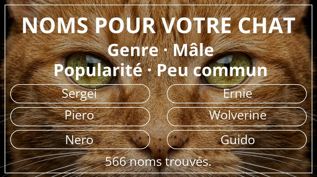 Noms félins inspirés de genre mâle et popularité peu commun