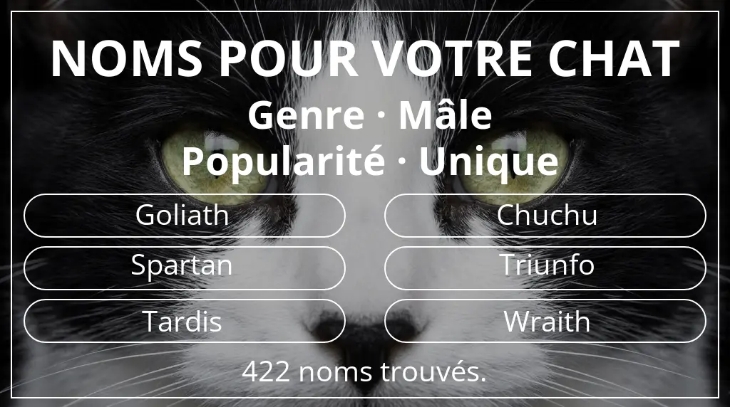 Noms de chats en lien avec genre mâle et popularité unique