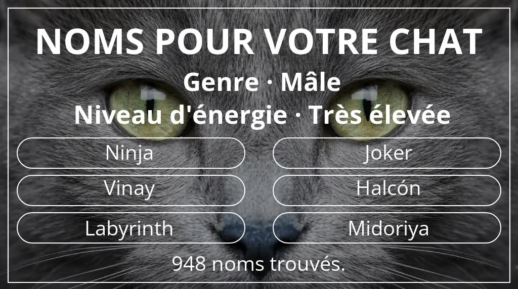 Noms félins basés sur genre mâle et niveau d'énergie très élevée