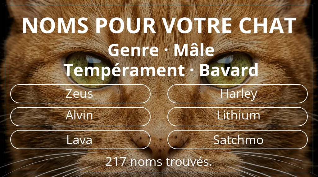 Noms félins basés sur genre mâle et tempérament bavard