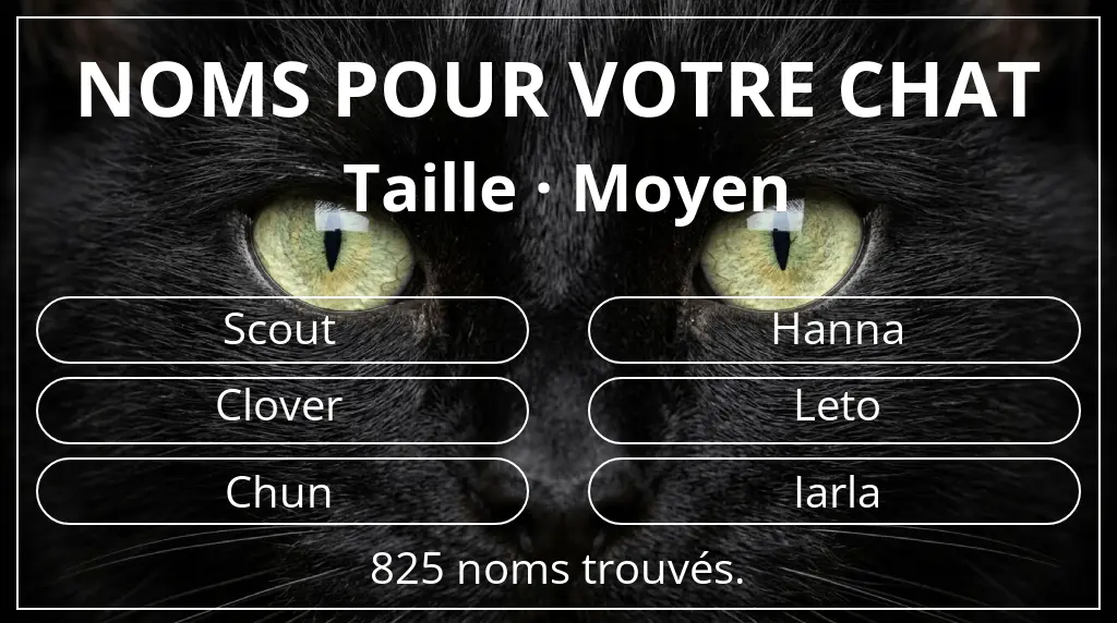 Noms de chats basés sur taille moyen