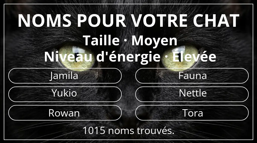 Noms pour chats en lien avec taille moyen et niveau d'énergie élevée