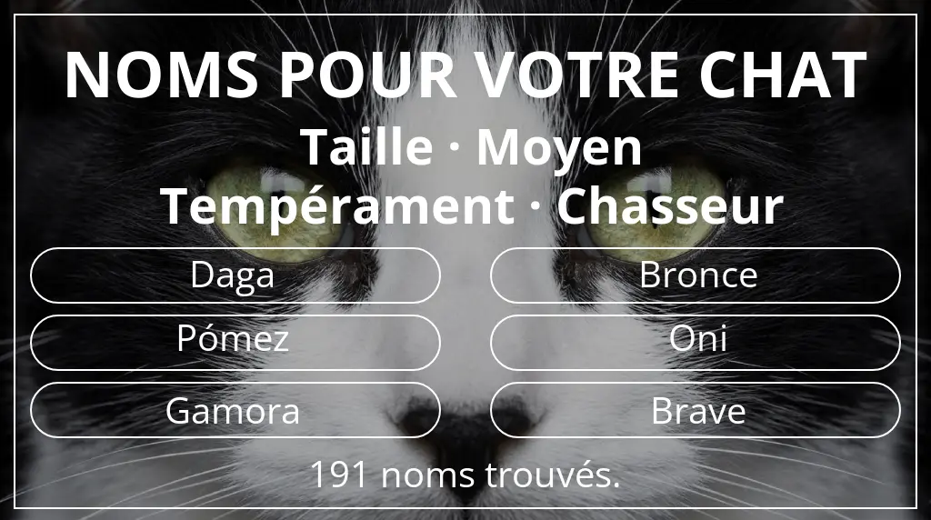 Noms pour chats inspirés de taille moyen et tempérament chasseur