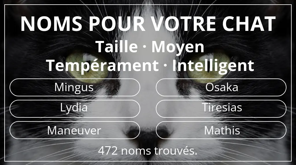 Noms félins en lien avec taille moyen et tempérament intelligent