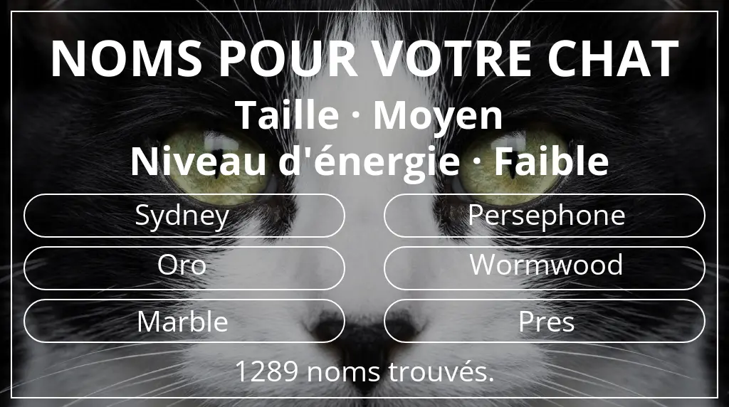 Noms félins inspirés de taille moyen et niveau d'énergie faible