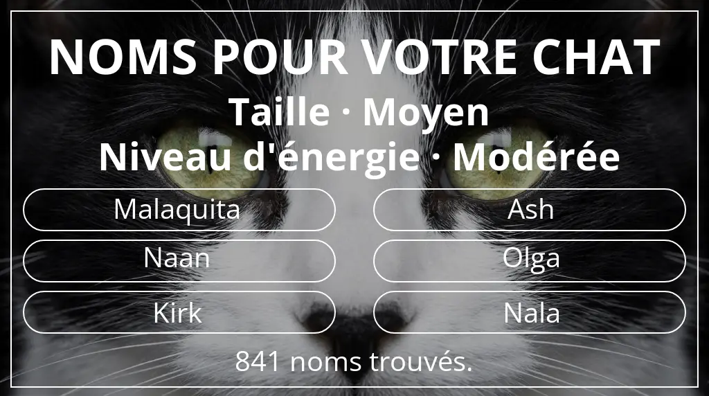 Noms pour chats basés sur taille moyen et niveau d'énergie modérée