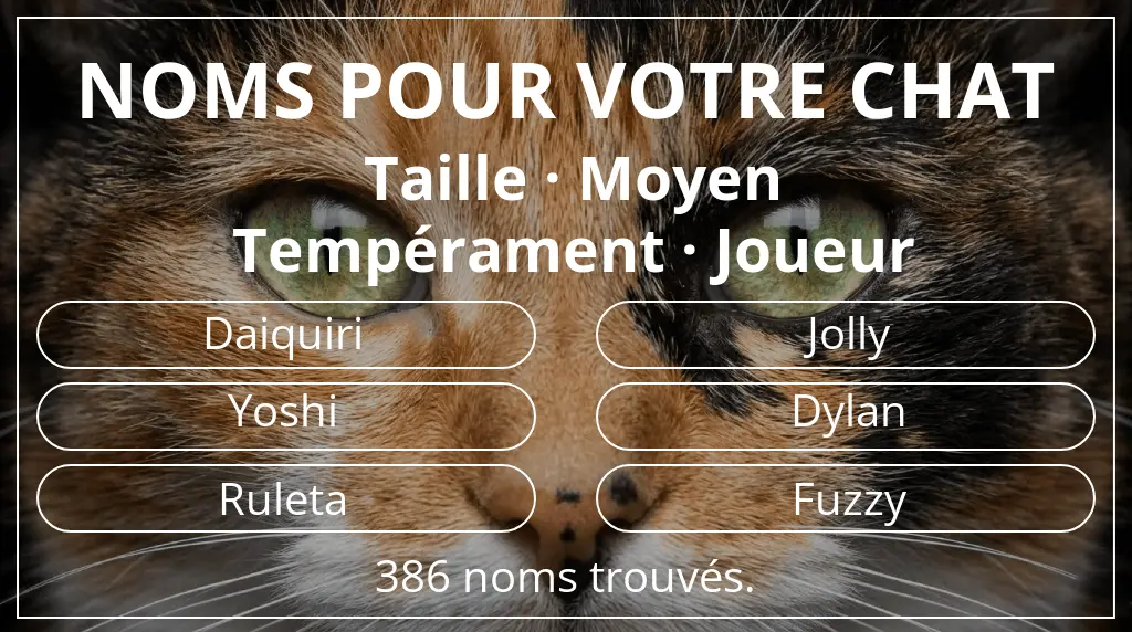 Noms de chats inspirés de taille moyen et tempérament joueur