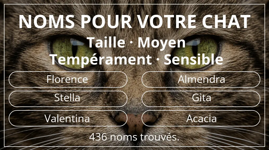 Noms pour chats inspirés de taille moyen et tempérament sensible