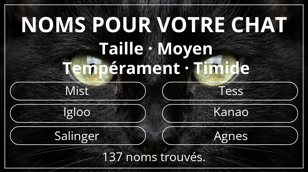 Noms pour chats basés sur taille moyen et tempérament timide