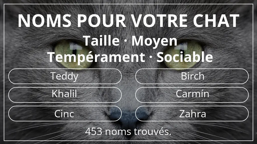 Noms pour chats inspirés de taille moyen et tempérament sociable