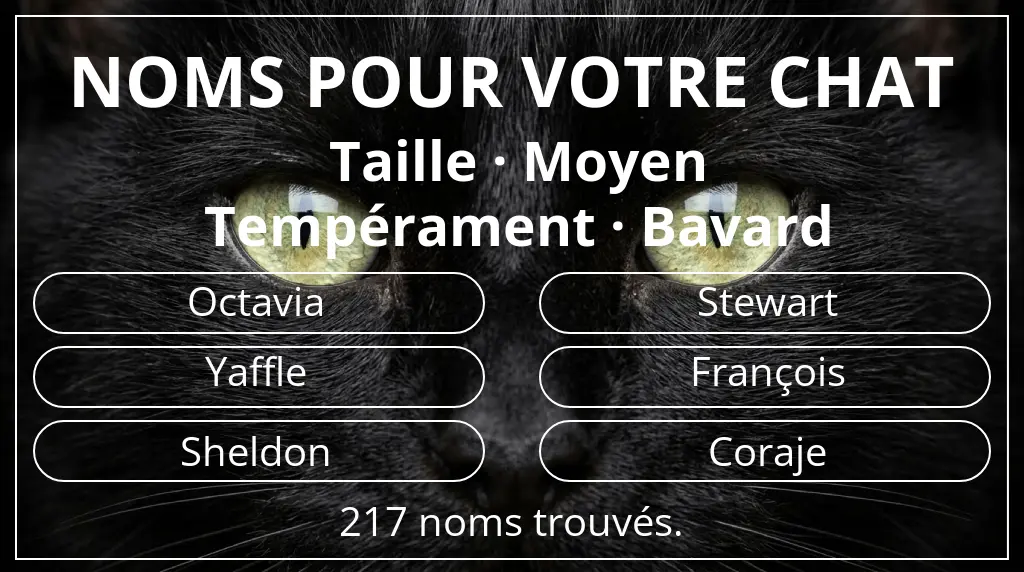 Noms pour chats en lien avec taille moyen et tempérament bavard