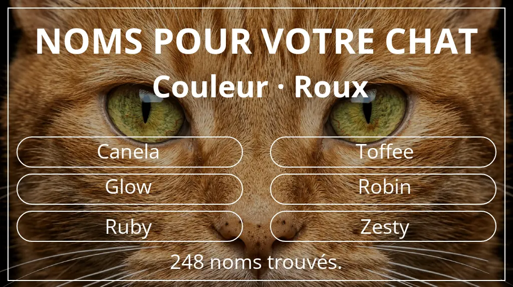 Noms pour chats en lien avec couleur roux