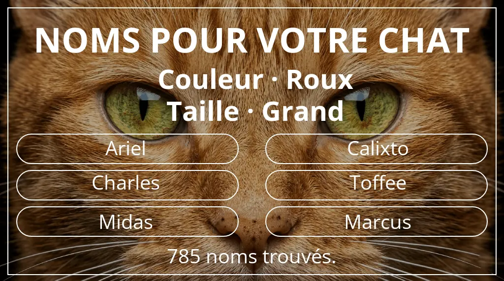 Noms pour chats basés sur couleur roux et taille grand