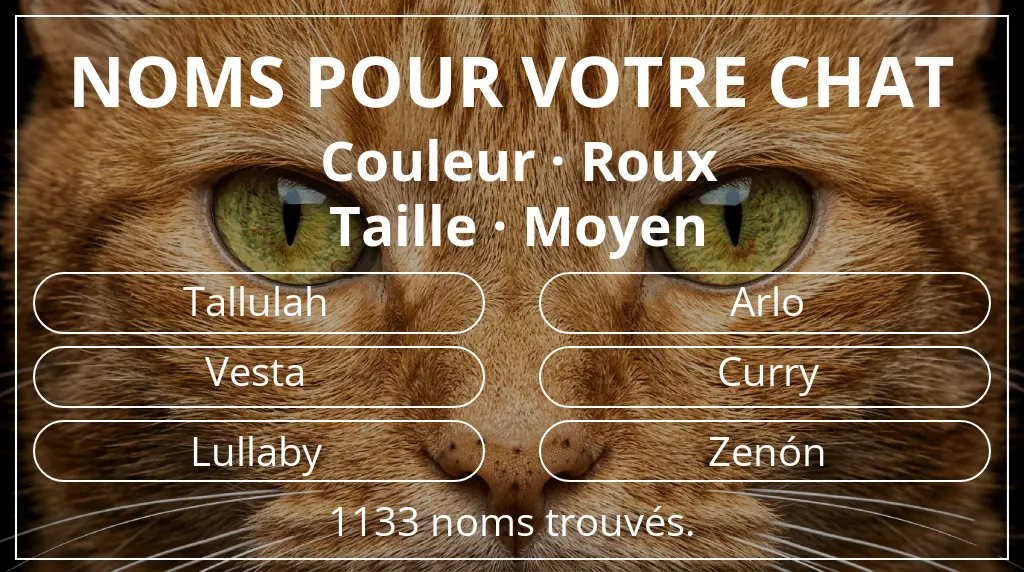 Noms pour chats basés sur couleur roux et taille moyen