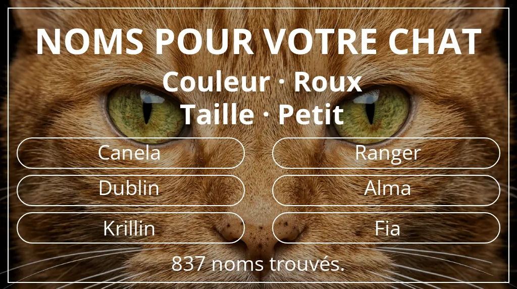 Noms pour chats inspirés de couleur roux et taille petit