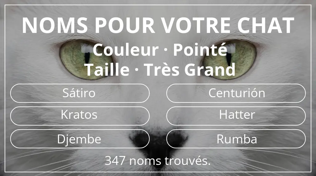 Noms félins inspirés de couleur pointé et taille très grand