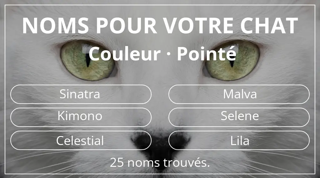 Noms félins inspirés de couleur pointé