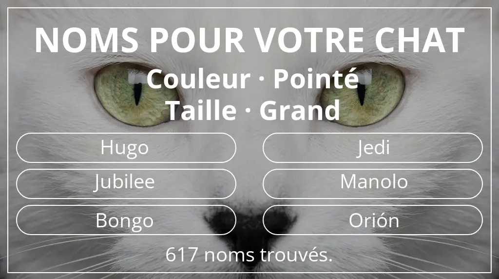 Noms pour chats basés sur couleur pointé et taille grand
