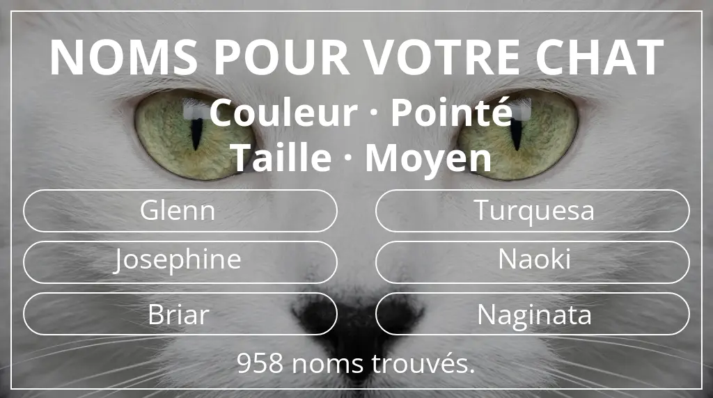 Noms de chats en lien avec couleur pointé et taille moyen