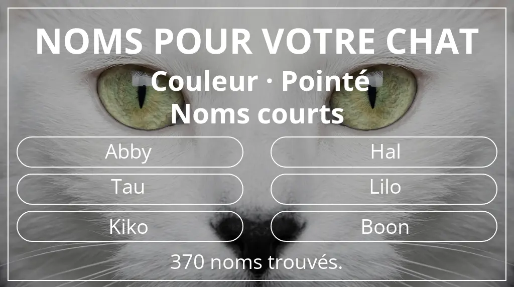 Noms de chats basés sur couleur pointé et longueur du nom court (2 à 4)