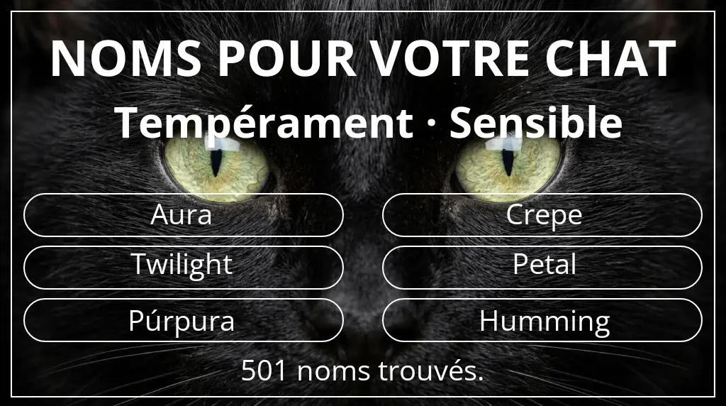 Noms pour chats inspirés de tempérament sensible